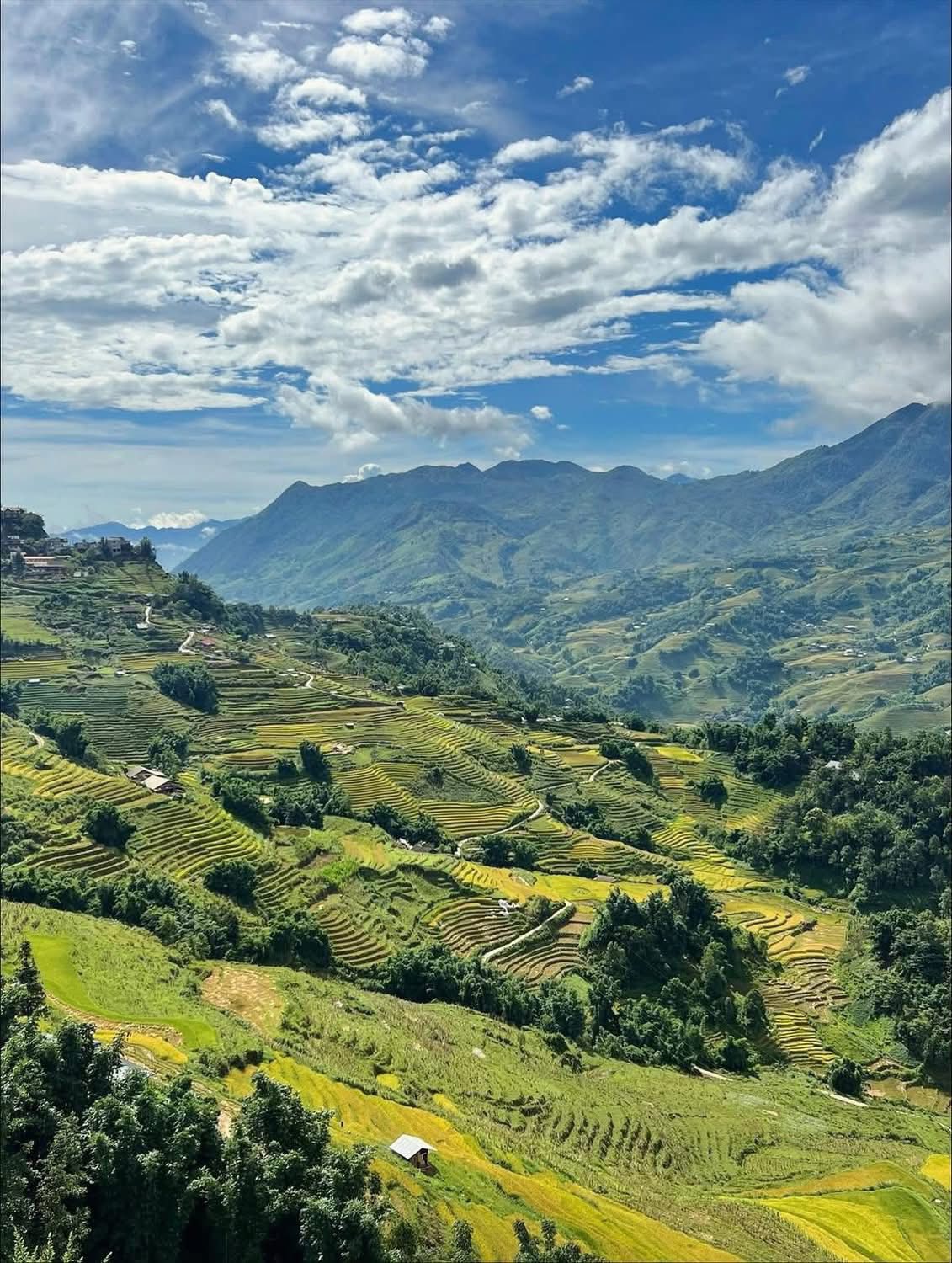 Sapa Landcapes